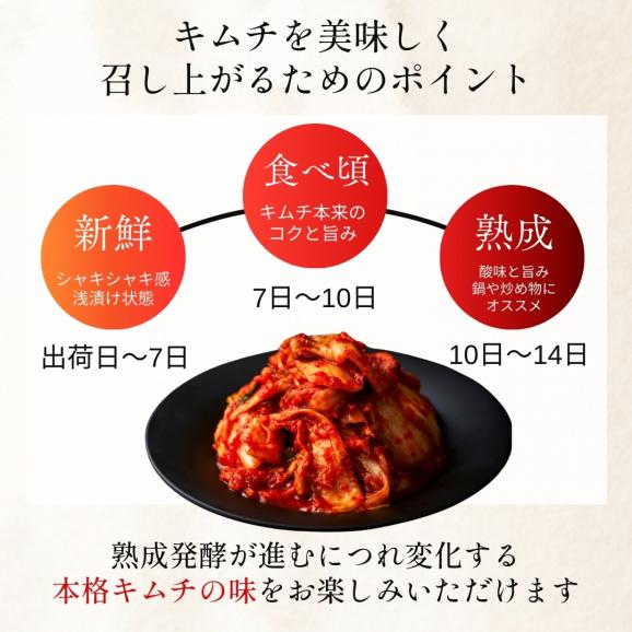 キムチ ギフト 鶴橋 白菜キムチ 1kg 【保存料・着色料不使用】 お取り寄せ 国産 韓国食品 お漬物 大阪 焼肉白雲台 発酵食品05