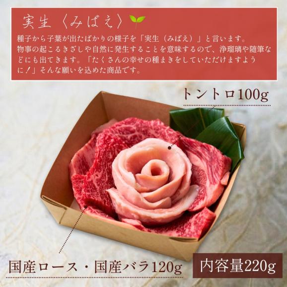 【結婚祝い】おめでとうの花 『実生(みばえ)』220g 2種のタレ付き03