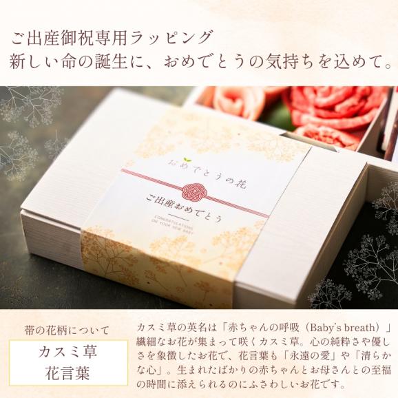 【出産祝い】おめでとうの花 『実生(みばえ)』220g 2種のタレ付き02