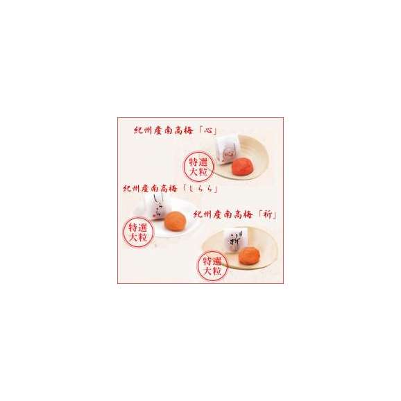 中田食品　紀州南高梅完熟梅干 梅三彩１２個入り02