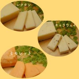 おおともチーズ工房のナチュラルチーズ人気３種セット【送料無料（沖縄は1500円）】（ミモレット、レクタン、キャラウェイ）