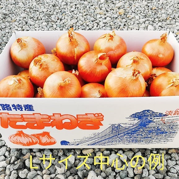 送料無料 淡路島産 玉葱 10kg 玉ねぎ たまねぎ タマネギ02