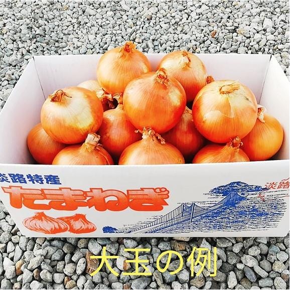 沖縄北海道専用　送料無料 淡路島産 玉葱 大玉2L　10kg 玉ねぎ たまねぎ タマネギ02