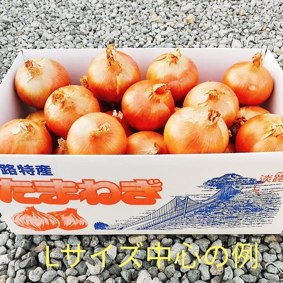 沖縄北海道専用　送料無料 淡路島産 玉葱 10kg 玉ねぎ たまねぎ タマネギ02