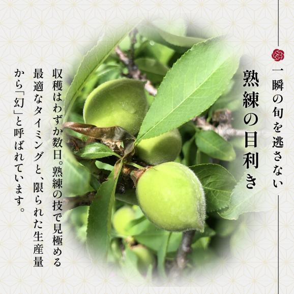幻の翡翠桃っ子（シロップ漬け）～種まで食べられる不思議な美味しさ～【新潟・三条市石田フルーツガーデン桃っこ使用】【八角瓶】【内容量２３０g　１個】減農薬、化学肥料・除草剤一切不使用　04