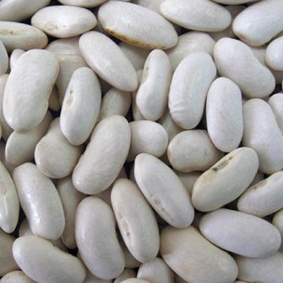 Barabu - 白いんげん豆 White Kidney beans 1kg03