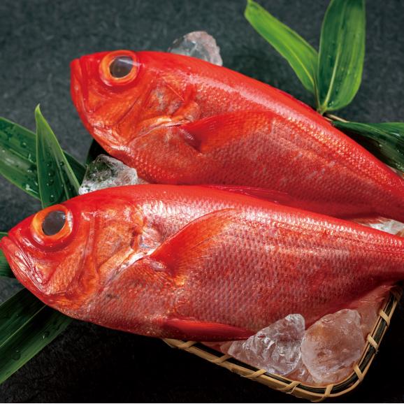 葉山 日影茶屋 三崎黒潮キンメ西京漬(金目鯛)4枚入 送料込み(送料無料)02