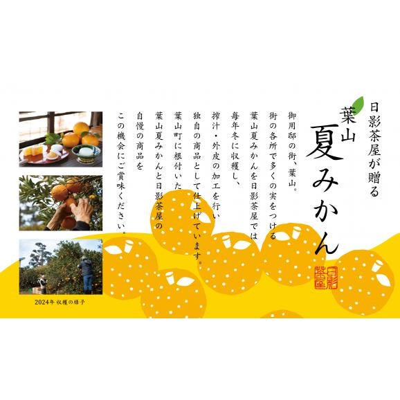 葉山 日影茶屋 夏柑葛餅３個入 送料込み（送料無料）02