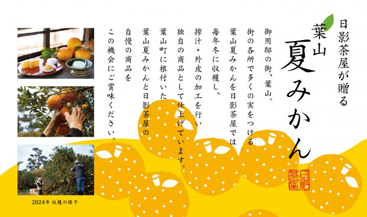 葉山 日影茶屋 夏柑葛餅９個入 _説明画像03