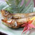 <魚の味を存分に引き出すプロの技で干しあげました> 旨干しハタハタ・山陰産　中サイズ（6～8尾）