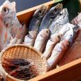 季節の干物詰め合わせ【浜風セット】【おまかせセット】