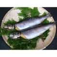 丸干し(子持）にしん-1本-300g前後