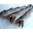 生干せスケ棒1本400g-500g前後1本
