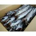 生干せスケ棒1本400g-500g前後3本