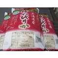 北海道米『ゆめぴりか』5kgx2袋10ｋｇ【送料無料】