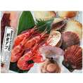 北海道海鮮タコセット【送料無料】