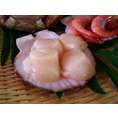 冷凍ホタテ貝柱1ｋｇ-20粒前後（特大）【送料無料】