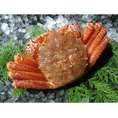 活毛かに・活毛蟹・硬かに・かに味噌・北海道産・1尾500g前後