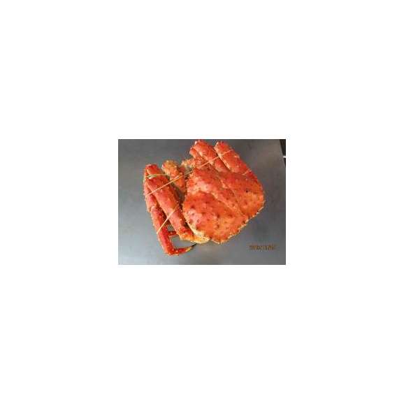 朝茹でタラバガニ【オス】（ボイルタラバガニ・翌日冷蔵配送・新鮮）中大サイズ1尾-2、5kg前後「送料無料」03