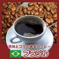 自家焙煎ブラジル　200g