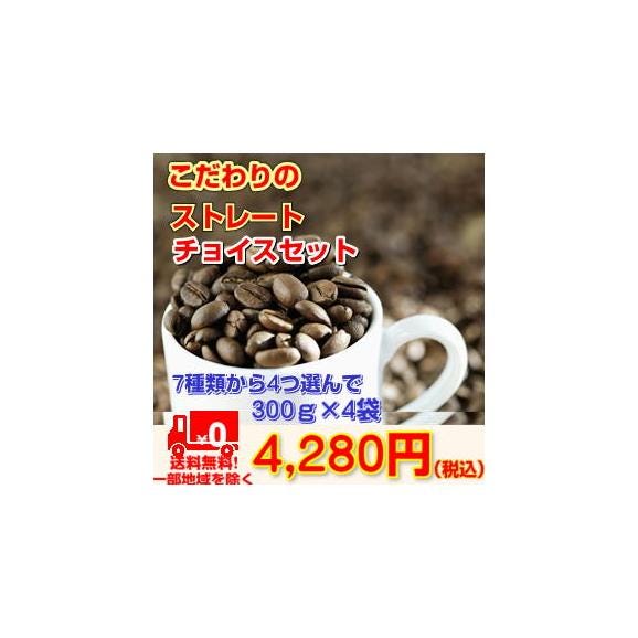 選べるストレート1.2kgのコーヒー豆「ストレートチョイスセット」01