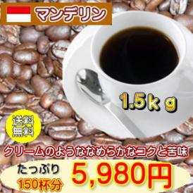 高騰中！しっかりとした苦味「マンデリン」大盛1.5kg