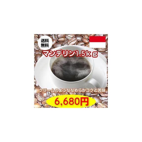 高騰中!しっかりとした苦味「マンデリン」大盛1.5kg01