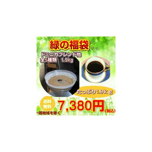 コーヒー専門店の「緑の福袋」合計たっぷり1.9kg!(約190杯分)01