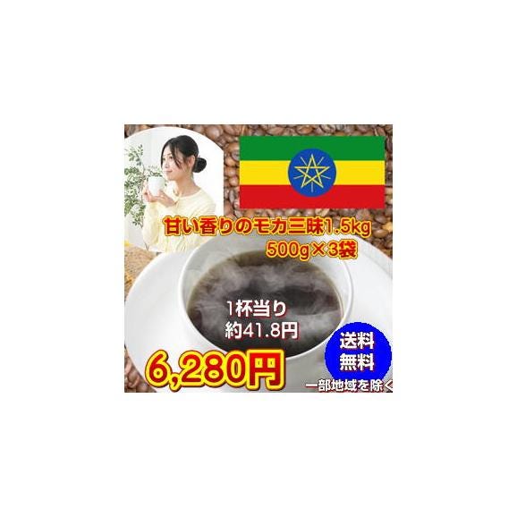 上品な酸味と甘く芳醇な香り「モカ・シダモ」コーヒー大盛1.5kg01