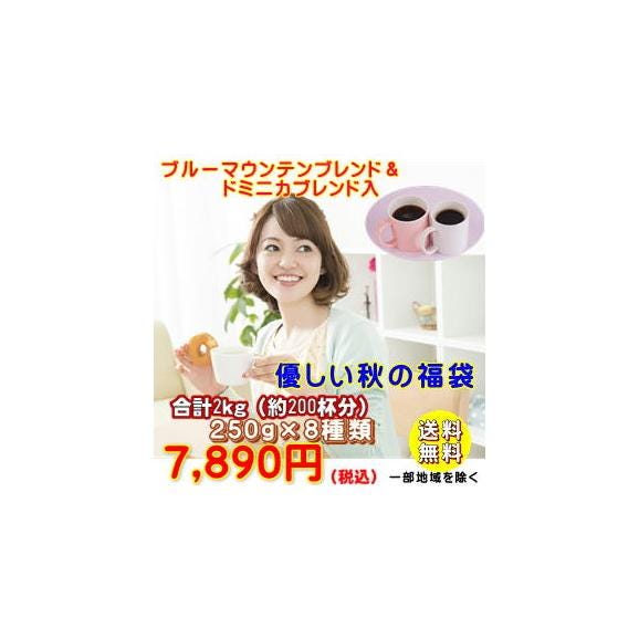 優しい秋の福袋01