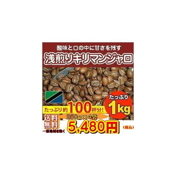 浅煎りキリマンジャロ 1kg01
