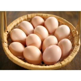 卵黄の濃厚さやコク・旨味など他の地鶏よりも優れている「卵」！