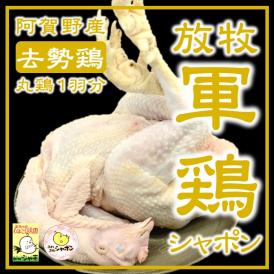 放牧軍鶏シャポン中抜丸鶏≪3.2kg以上4.5kg未満≫【内臓付】