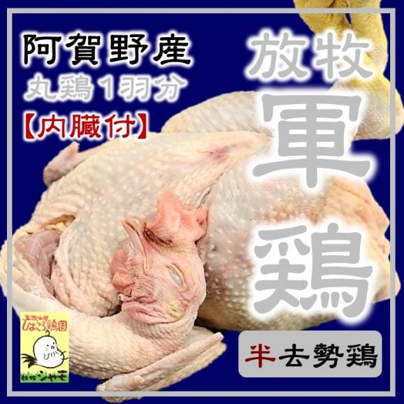 放牧軍鶏(オス)中抜丸鶏≪2.6kg以上3.8kg未満≫【内臓付】01