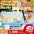 ざるうどん　お取り寄せ　九州ざる饂飩　210g×4袋　たっぷり　約8人前 セット 平打ち麺　つるつるモチモチ食感　熟成うどん麺　保存食お試しグルメ