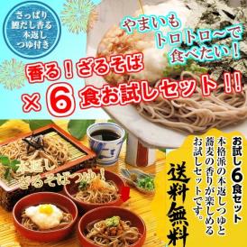 本格派ざるそばセット【本返しつゆ！ざるそば(6人前)】かつお節＋椎茸・昆布の伝統だし「本返しつゆ」