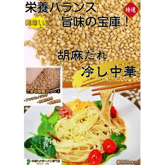 九州半生麺・冷し中華２種セット！【ごまだれ＆中華醤だれ（レモン風味）】★(半生麺：4人前＋熟成乾燥麺1食おまけ付き）03