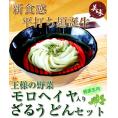 【モロヘイヤ入り ざるうどん4人前】新食感の特選平打ちうどん麺！専用めんつゆ付き