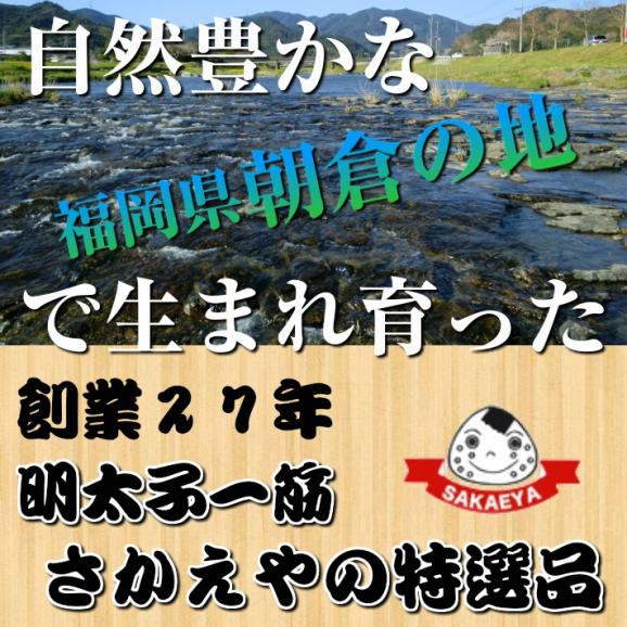 ポイント消化　子持ちきくらげ　博多明太子入り　ピリ辛キクラゲ　90g×2袋セット　コリコリ食感　酒の肴　ラーメン　メール便商品　訳ありお試しグルメ02