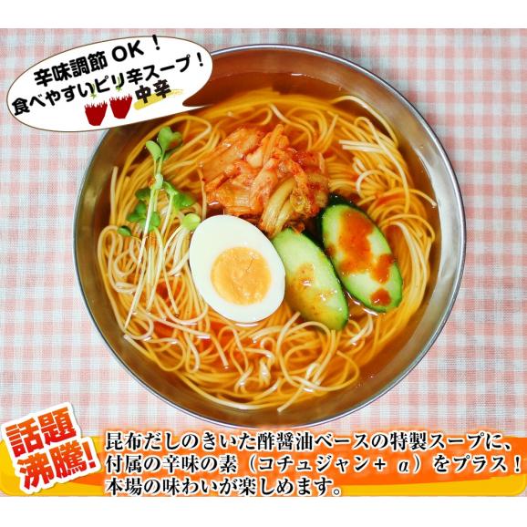 ポイント消化　500円　韓国冷麺味　2人前セット　ピリ辛　コチュジャン付　酢醤油ベース　人気さっぱり食感　メール便　保存食お試しグルメ03