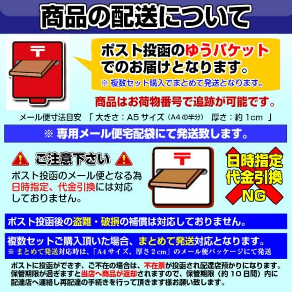 ポイント消化　500円　韓国冷麺味　2人前セット　ピリ辛　コチュジャン付　酢醤油ベース　人気さっぱり食感　メール便　保存食お試しグルメ04