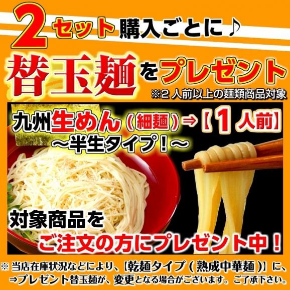 博多ラーメン　九州生麺　セット本場とんこつスープ付 2人前　お取り寄せ　ご当地ラーメン　特産品　メール便商品　お試しグルメギフト04