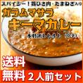 カレー レトルト　キーマカレー　500円　スパイシー　ガラムマサラ　玉ねぎ　ひき肉　2人前セット　お取り寄せ　メール便商品　お試しグルメギフト