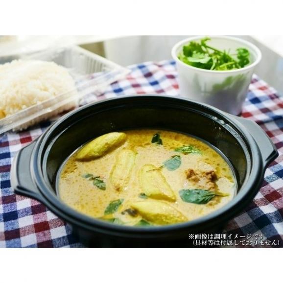 タイ風グリーンカレー　＆　スリランカ風チキンカレー　4食＋1食セット　レトルト　お取り寄せ　メール便商品　お試しグルメギフト03