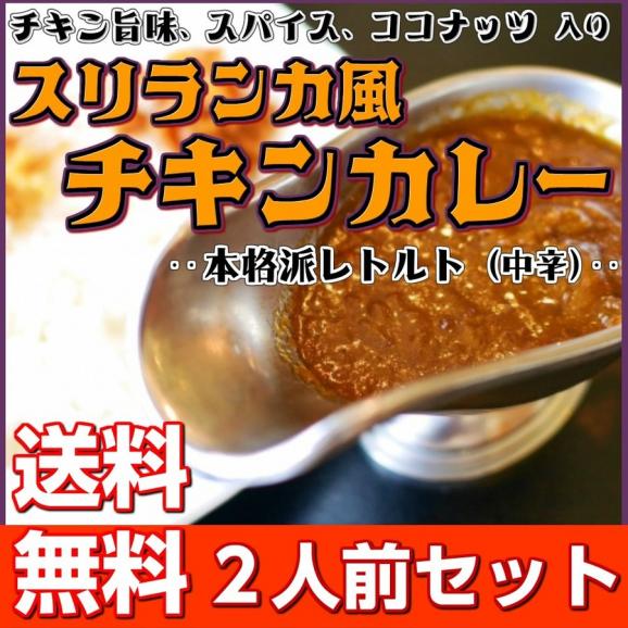 カレー レトルト　スリランカ風チキンカレー　500円　スパイス　ココナッツミルク　2人前セット　お取り寄せ　メール便商品　お試しグルメギフト01