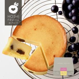 ホシフルーツ　大人のチーズケーキ【HFOC-001】