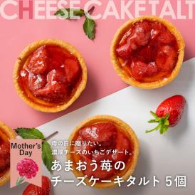 【送料込】母の日限定　ホシフルーツ　あまおう苺のチーズケーキタルト　５個【HFAM-001】