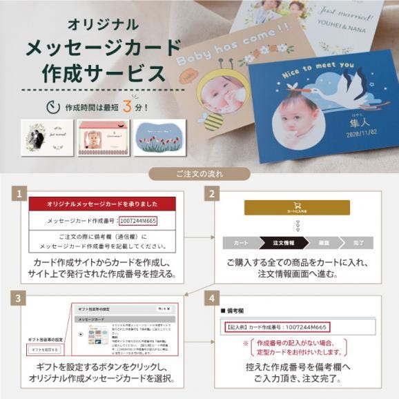 ホシフルーツ　ナッツとドライフルーツの贅沢ブラウニー　10個【HFNB-10】05