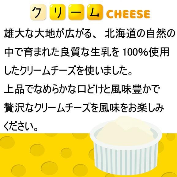 【GW・母の日sale】４種チーズガトーフロマージュ　02