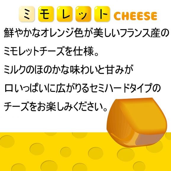 【ぐるナイ“おみや”で登場！】４種チーズガトーフロマージュ　05